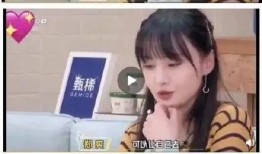 娱乐圈网友吃瓜系统小说