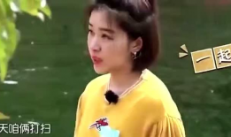 娱乐吃瓜女艺人节目,吃瓜女艺人节目背后的故事与真相