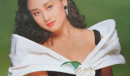 利智现在的照片,岁月流转，美丽依旧的传奇女神