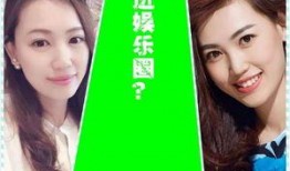 娱乐圈网友吃瓜系统小说