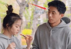 娱乐圈新人,闪耀星途的璀璨新星