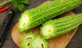 娱乐吃瓜酱植物人