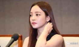 韩国娱乐圈怎么样,璀璨星河下的梦想与挑战