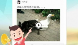 捧腹网搞笑段子,捧腹网搞笑段子大盘点