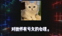 娱乐圈8卦吃瓜,揭秘明星背后的秘密与风云变幻