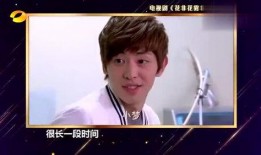 娱乐圈新人,闪耀星途的璀璨新星