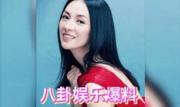 综艺娱乐圈吃瓜爆料小说