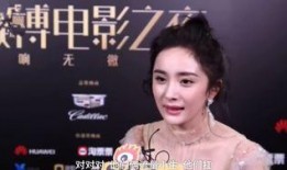 娱乐圈新人,闪耀星途的璀璨新星