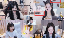 女主播被电