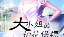 娱乐吃瓜小姐小说,揭秘娱乐圈背后的秘密与真相