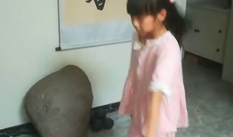 锻炼食物搞笑视频,搞笑视频里的营养盛宴