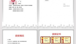 王冠简历个人资料,才华横溢的职场精英，简历彰显卓越实力