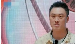 娱乐圈吃瓜户,揭秘“吃瓜户”背后的真相与趣味