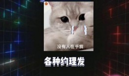 吃瓜娱乐2023,热点事件回顾与盘点