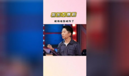 娱乐吃瓜猫杨迪,娱乐吃瓜猫的趣味人生